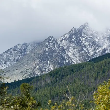 Pod Hrebienkom - C218 Апартаменты *